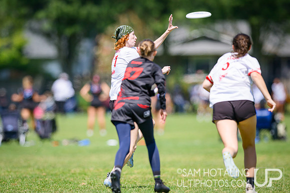 Saturday pool play at USAU D-I College Championships