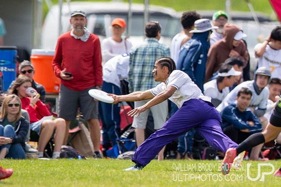 Day 3 of the USA Ultimate D-I College Championships