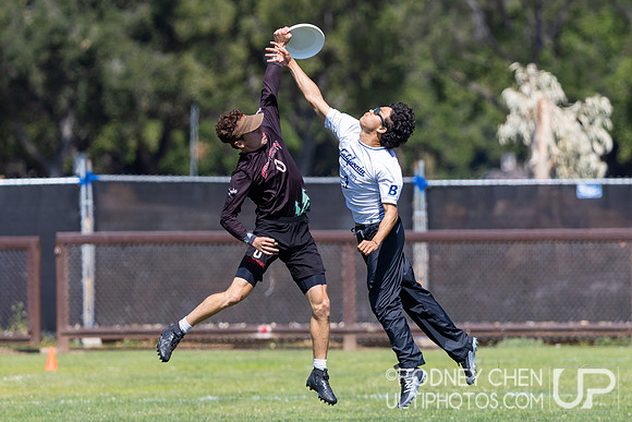 2025 USAU NorCal D1 Conference Championships