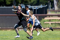 2025 USAU NorCal D1 Conference Championships
