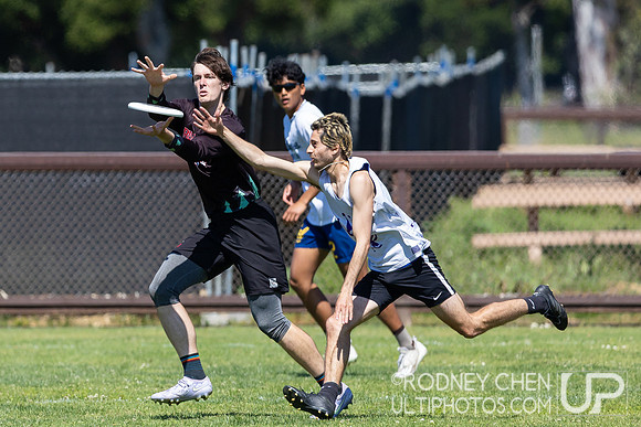 2025 USAU NorCal D1 Conference Championships