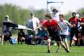 Utah Swarm v Flying Piglet
