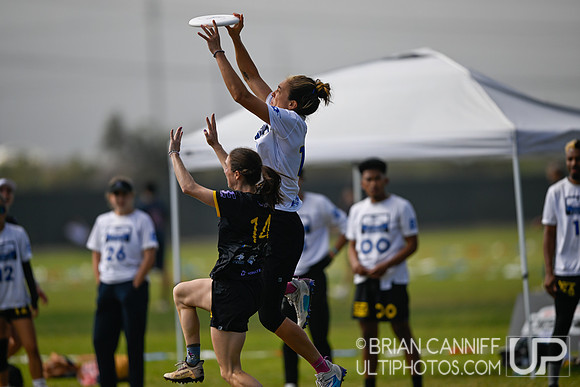 2024 USA Ultimate Club Championships