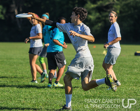 Metro New York Sectionals - Sunday
