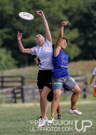 Chesapeake Open