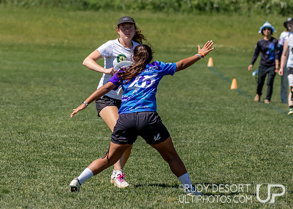 2024 USA Ultimate Division I College Championships ©