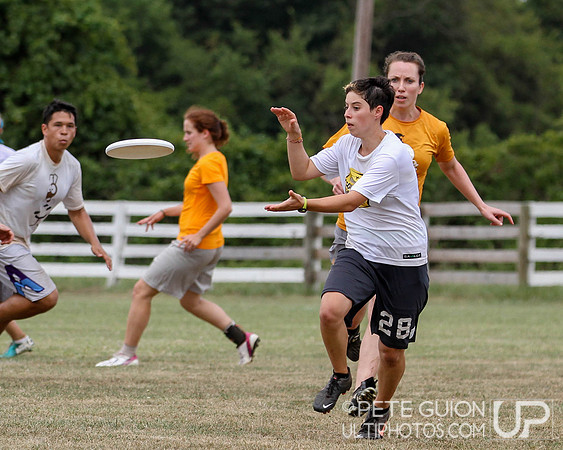 Chesapeake Open