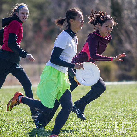 Fools Fest 2014 Sunday Action
