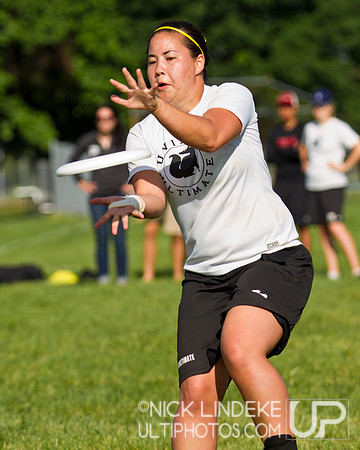 2014 USAU D-I College Champs Sunday Action