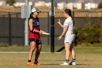WFDF World Masters Ultimate Championships 2024
