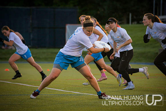 Philadelphia Surge vs Minnesota Strike