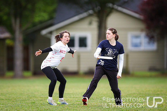 Sunday full coverage from USAU D-IIII College Championships: Round 2