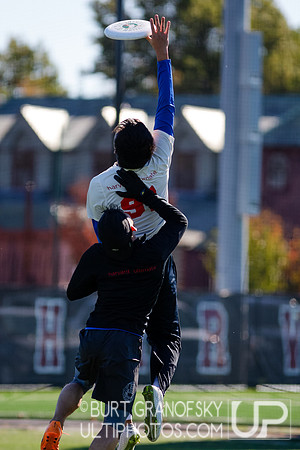 Bredline vs Alumni Game - Harvard Ultimate 40th Reunion