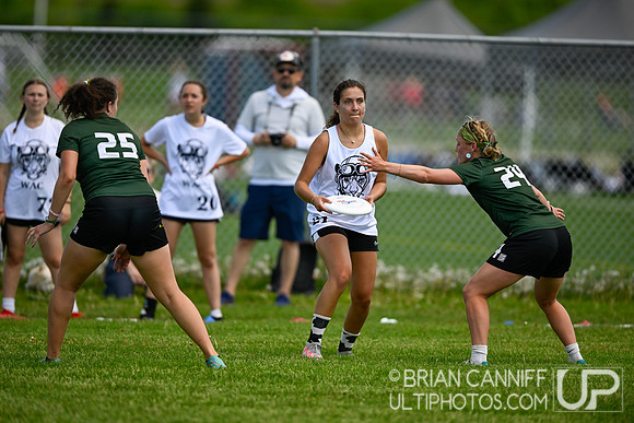 2024 USA Ultimate Division 3 College Championships