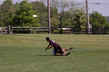 Bell Crack 2006