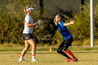 WFDF World Masters Ultimate Championships 2024