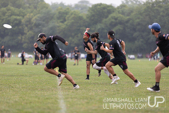 Rhino Slam! v Euforia