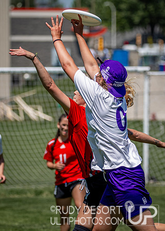 2024 USA Ultimate Division III College Championships ©