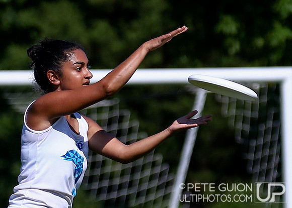 Chesapeake Open