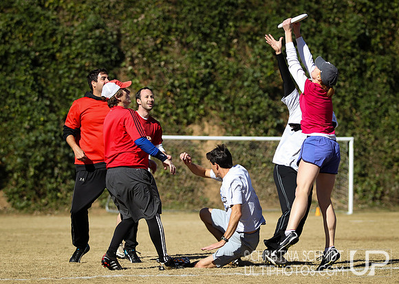 Fall Ultimate League -- 2014
