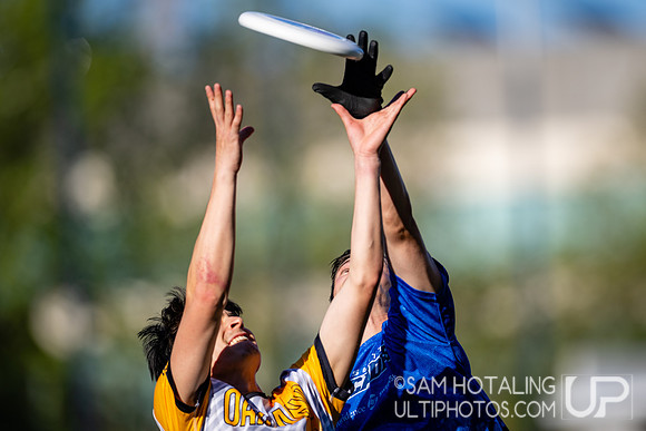 Oakland Spiders at Seattle Cascades in the UFA Regular Season