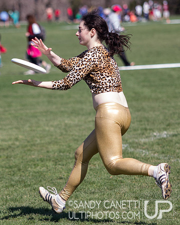 Fools Fest 2014 Saturday Action