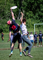2024 USA Ultimate Division I College Championships ©