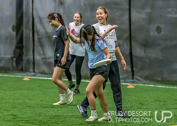 Chicago Indoor Ultimate League