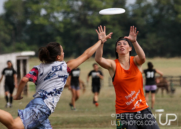 Chesapeake Open