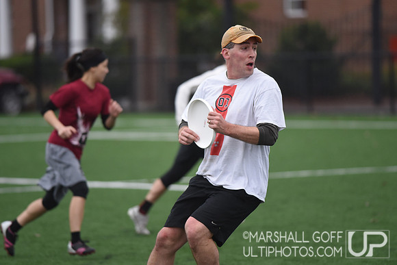 Harvard 40th Ultimate Reunion