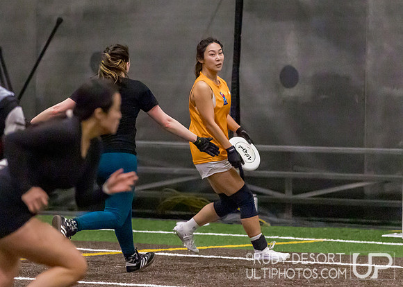 Season 2 Finals; Chicago Indoor Ultimate League