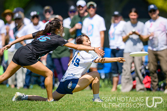 Saturday pool play at USAU D-I College Championships