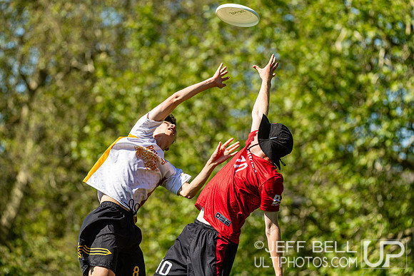 BC Ultimate - Disc Flicker 2024