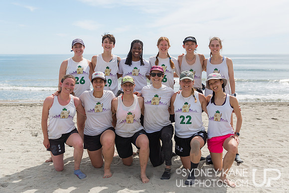 Porcupineapples Team Photo Saturday - 2025 Beach Championships