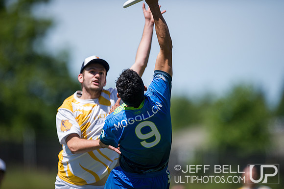 Riptide_Lions_20140607_130951_JBP00282
