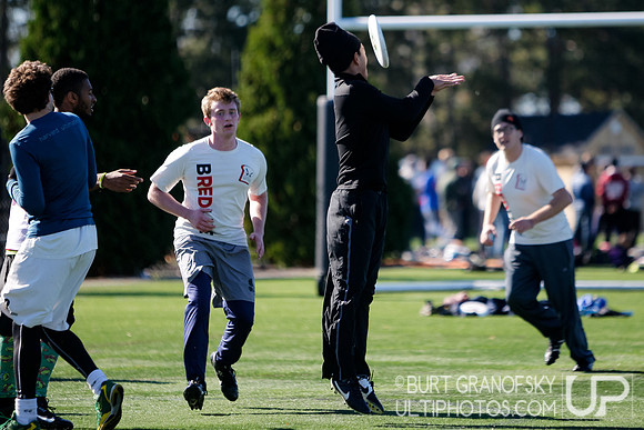 Bredline vs Alumni Game - Harvard Ultimate 40th Reunion
