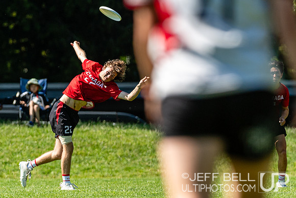 BC Ultimate - Disc Flicker 2024