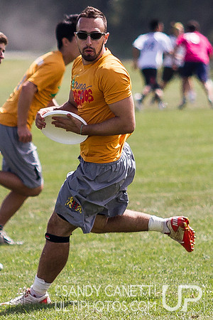 2013 USA Ultimate Metro New York Open Sectionals