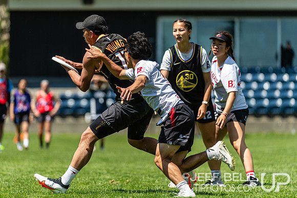 BC Ultimate - Disc Flicker 2024