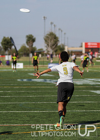 USAU Nationals 2014 Championships