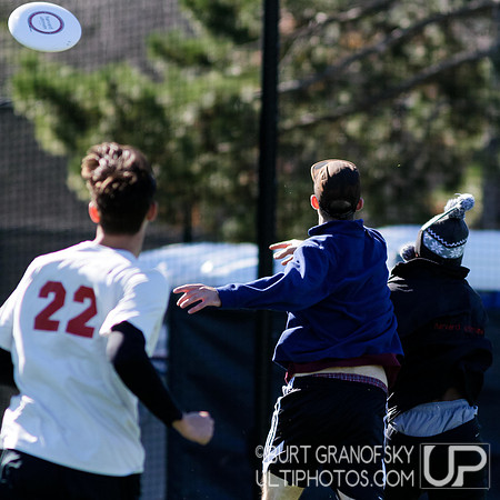 Redline vs Elite Alumni Game - Harvard Ultimate 40th Reunion