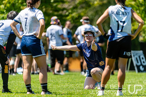 BC Ultimate - Disc Flicker 2024