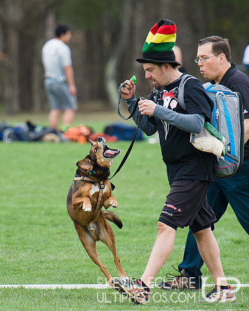 Fools Fest 2014 Friday Action