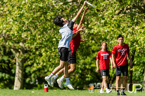 BC Ultimate - Disc Flicker 2024