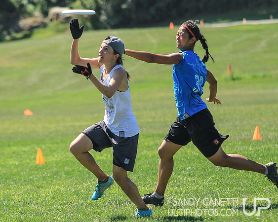 Metro New York Sectionals - Sunday