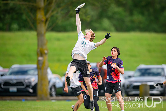 Semifinals at USAU D-III College Championships