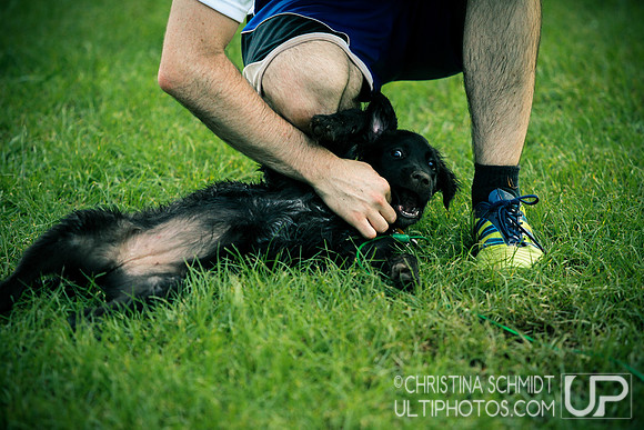 Summer Ultimate League -- 2014