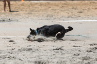 Saturday - 2025 Beach Championships
