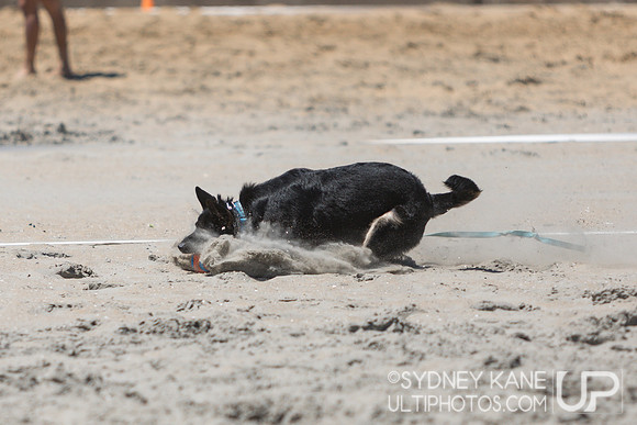 Saturday - 2025 Beach Championships