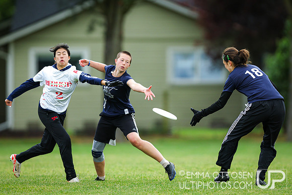Sunday full coverage from USAU D-IIII College Championships: Round 2